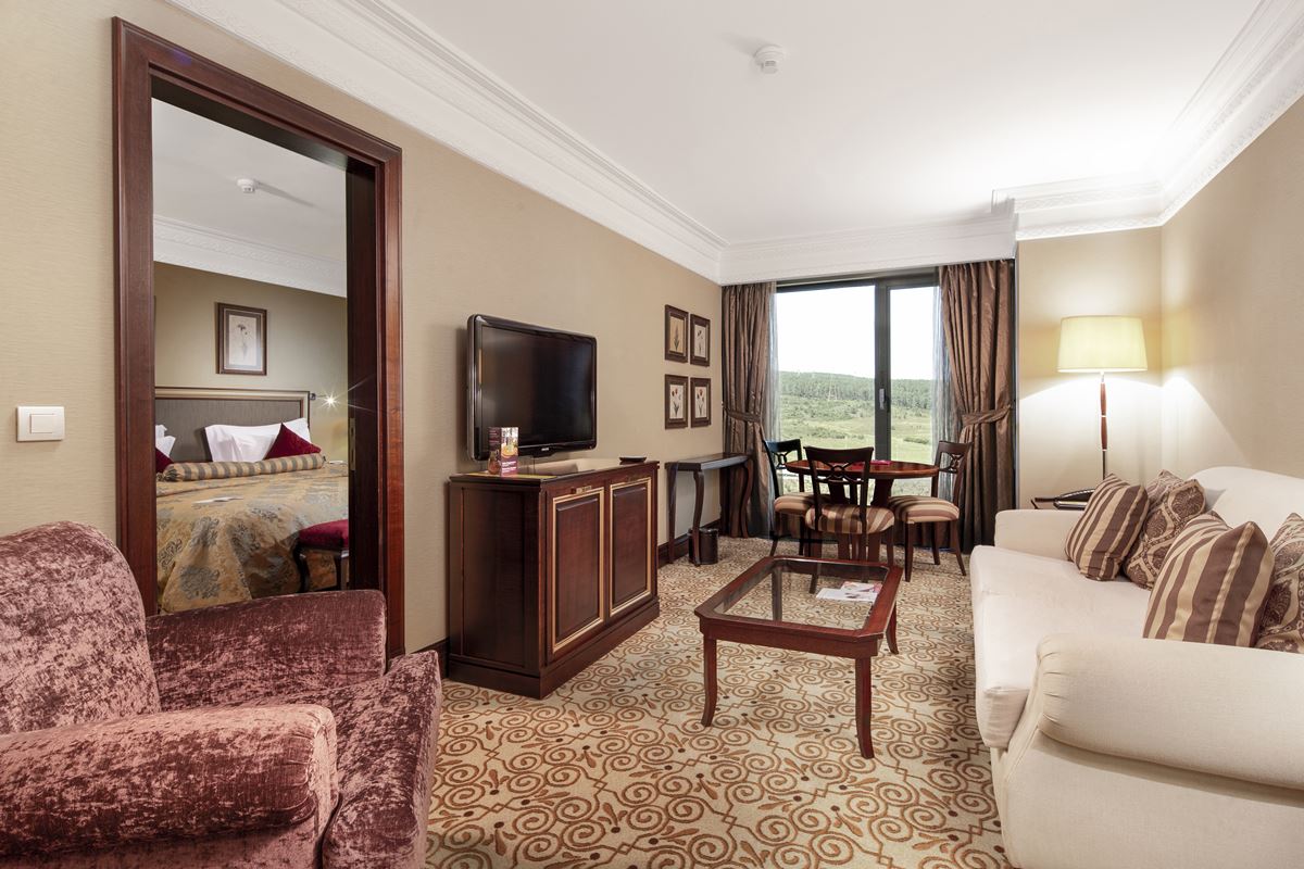 Junior Suite Room
